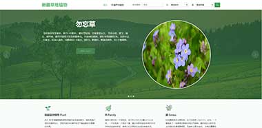 新疆草地植物管理系统-毕业设计